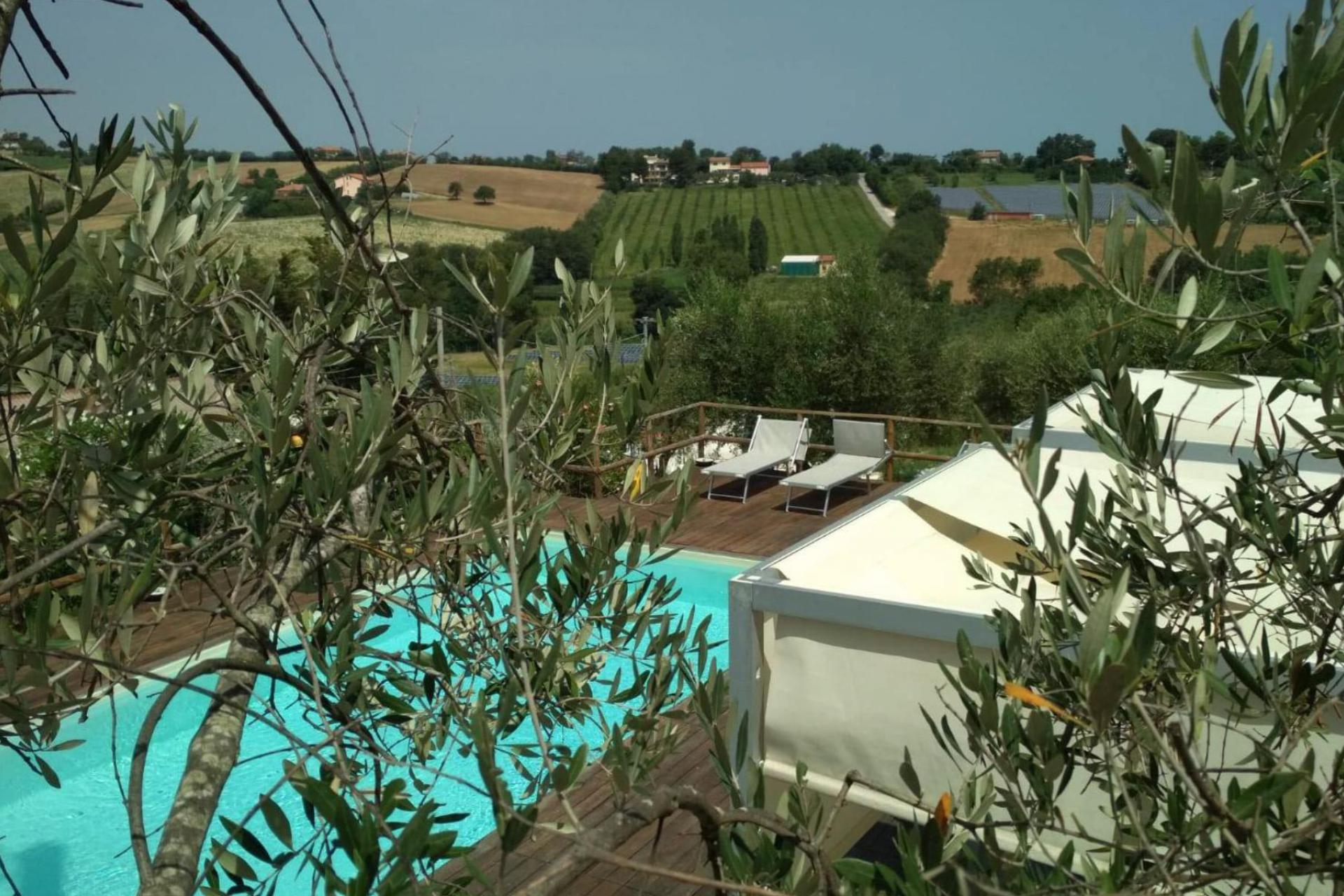Agriturismo Marche Agriturismo Marche with restaurant in an olive grove