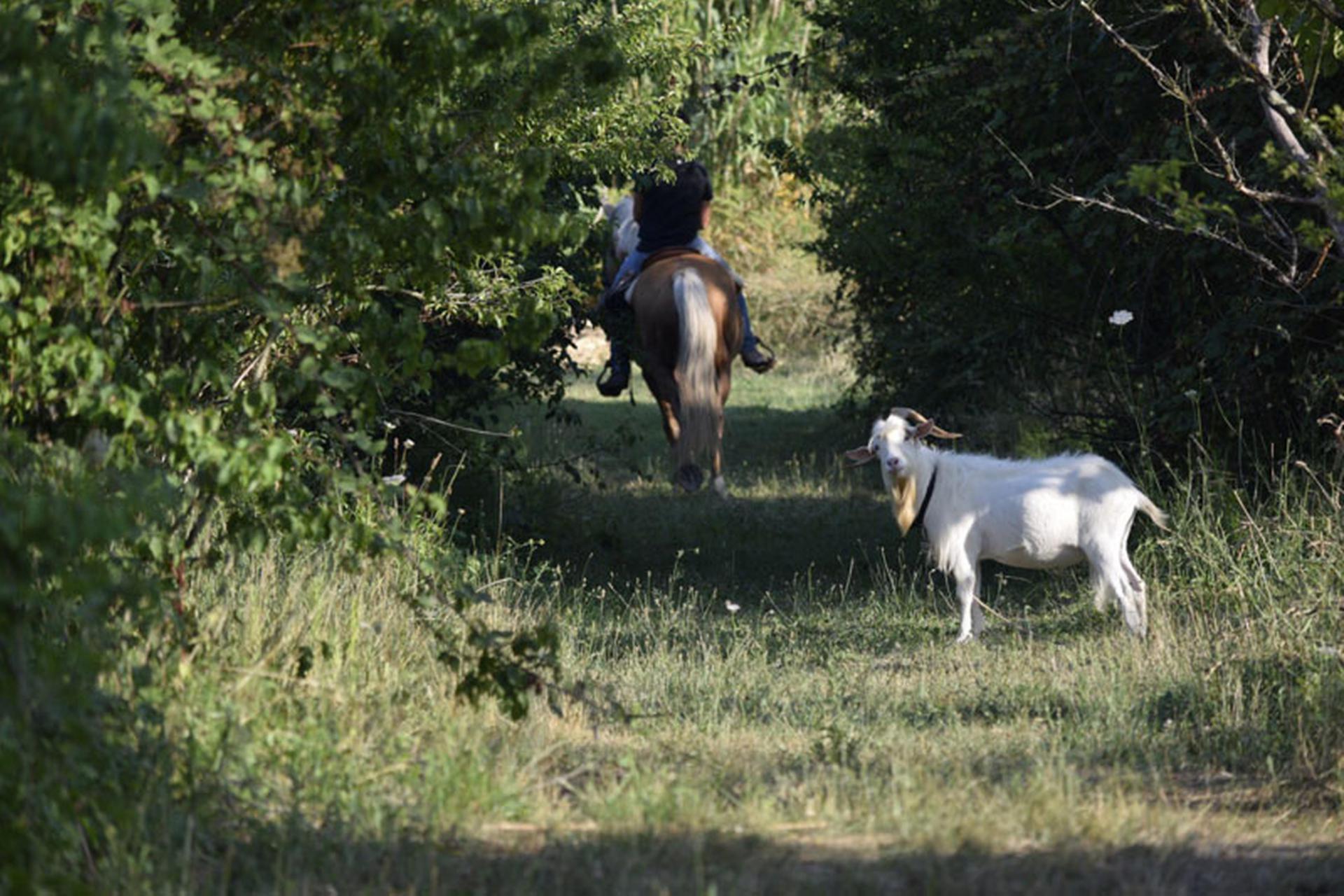 Hospitable agriturismo in Tuscany