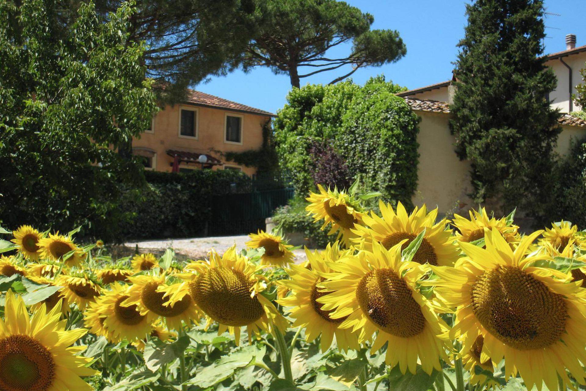 Family-friendly country house in Tuscany Family-friendly country house in Tuscany