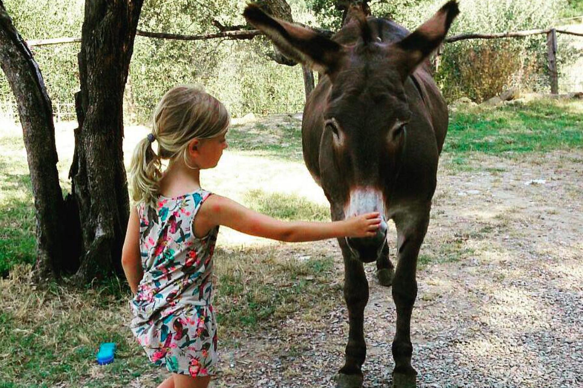 Child-friendly agriturismo with farm animals
