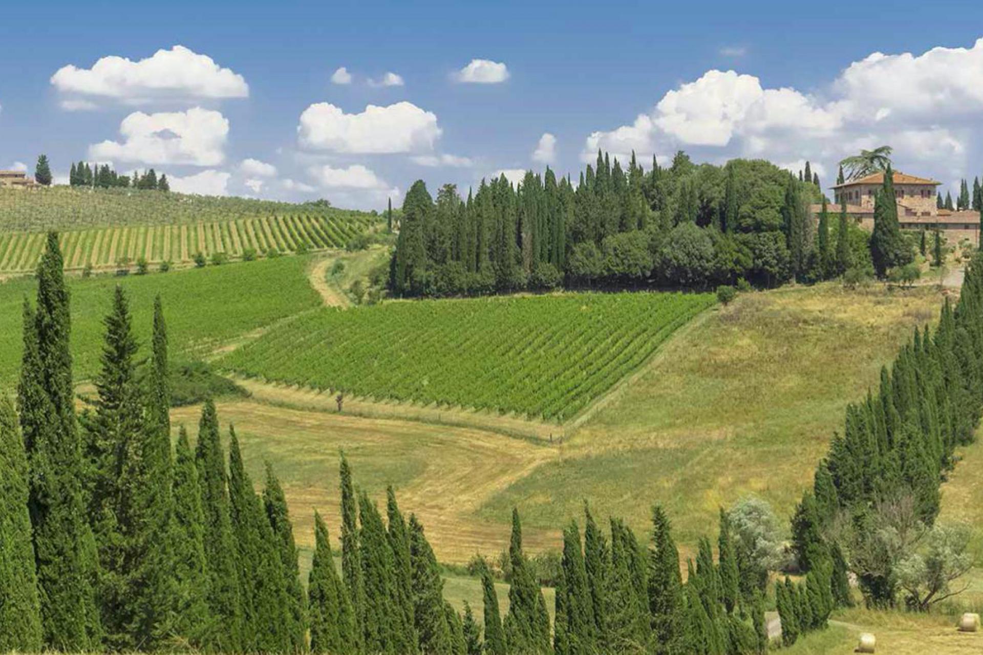 Comfortable agriturismo in the unspoilt hills of Siena