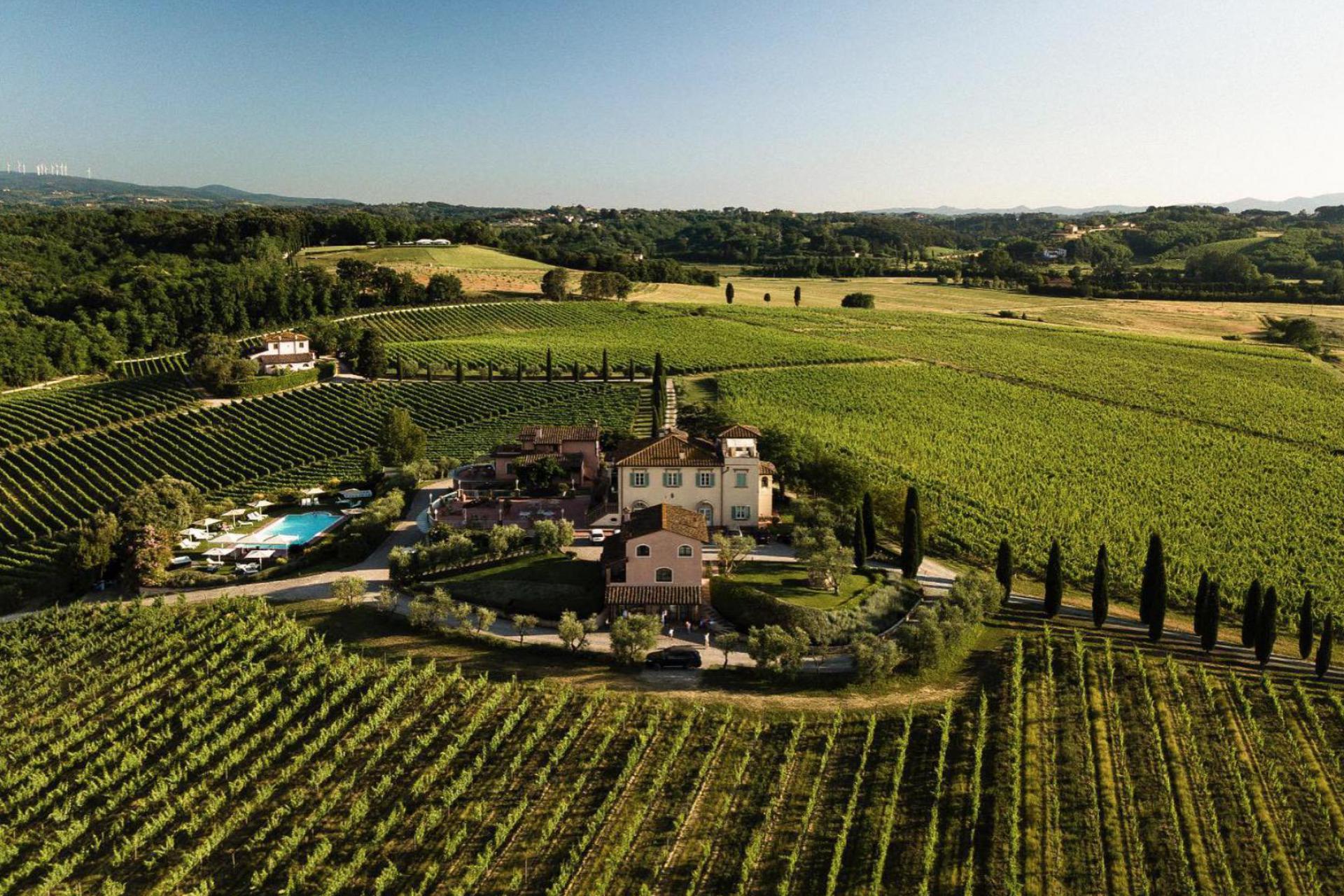 Winery and luxury agriturismo near Pisa