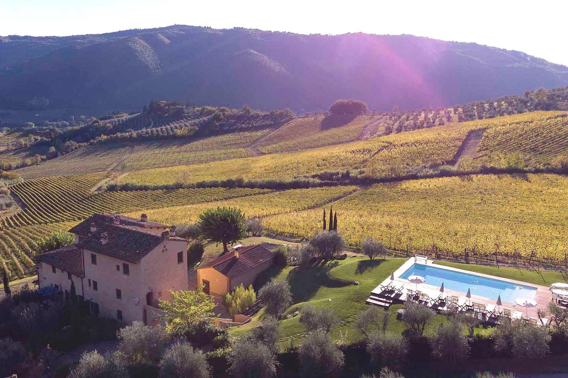 Extraordinary wine farm near Florence