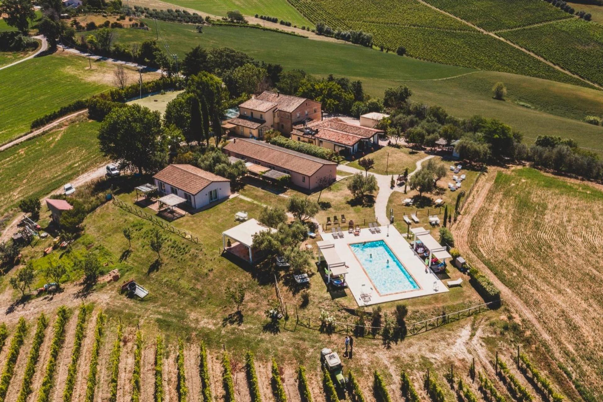 Welcoming wine farm in Le Marche