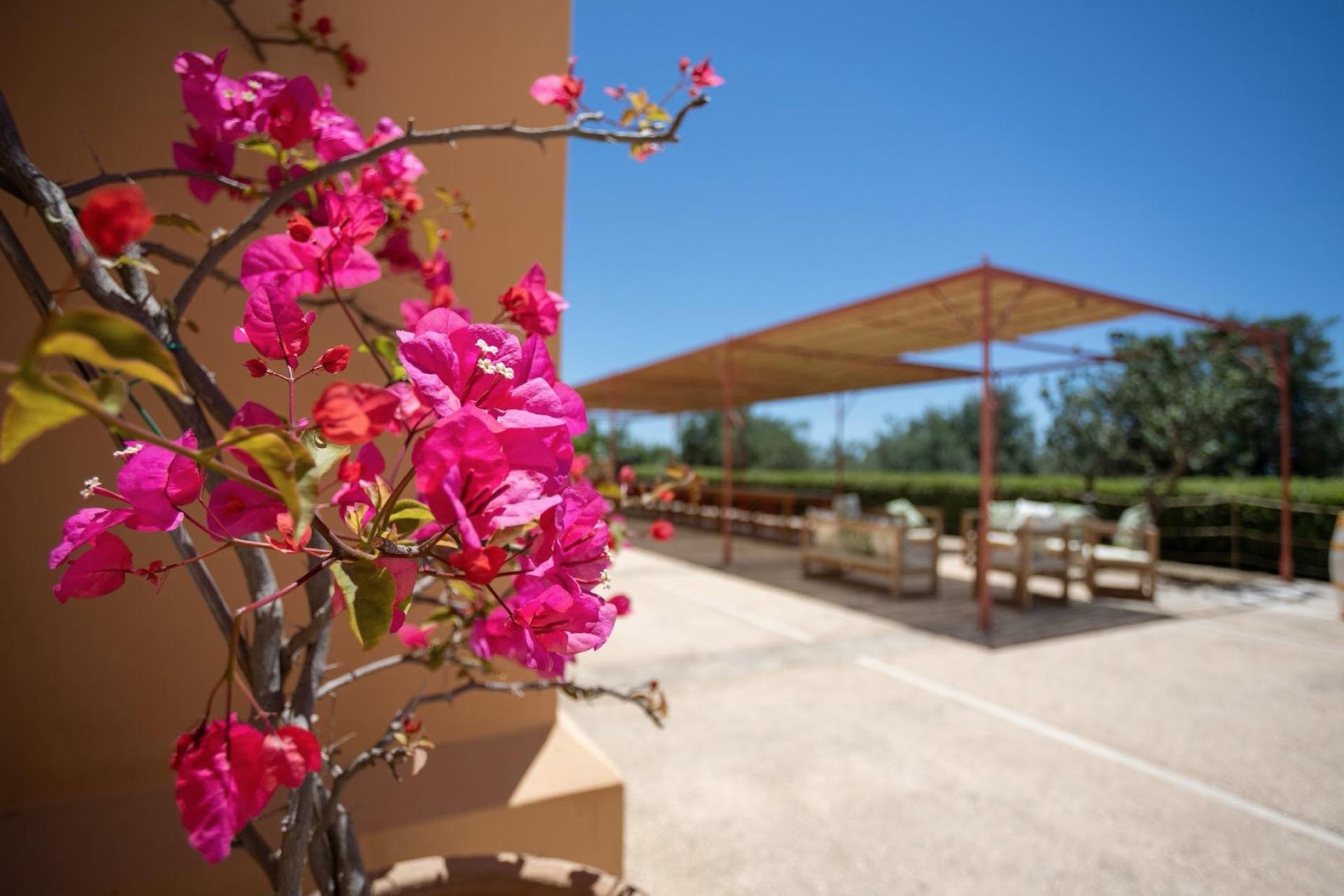 Agriturismo with organic restaurant