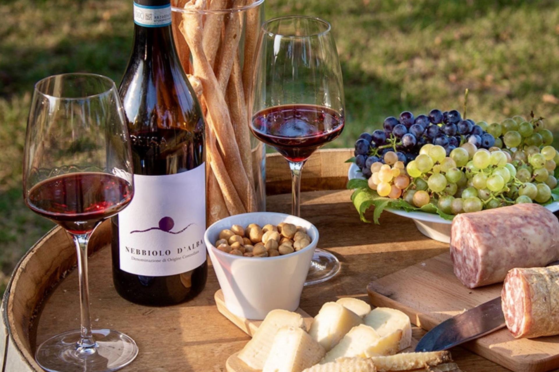 Luxury wine farm in Piedmont