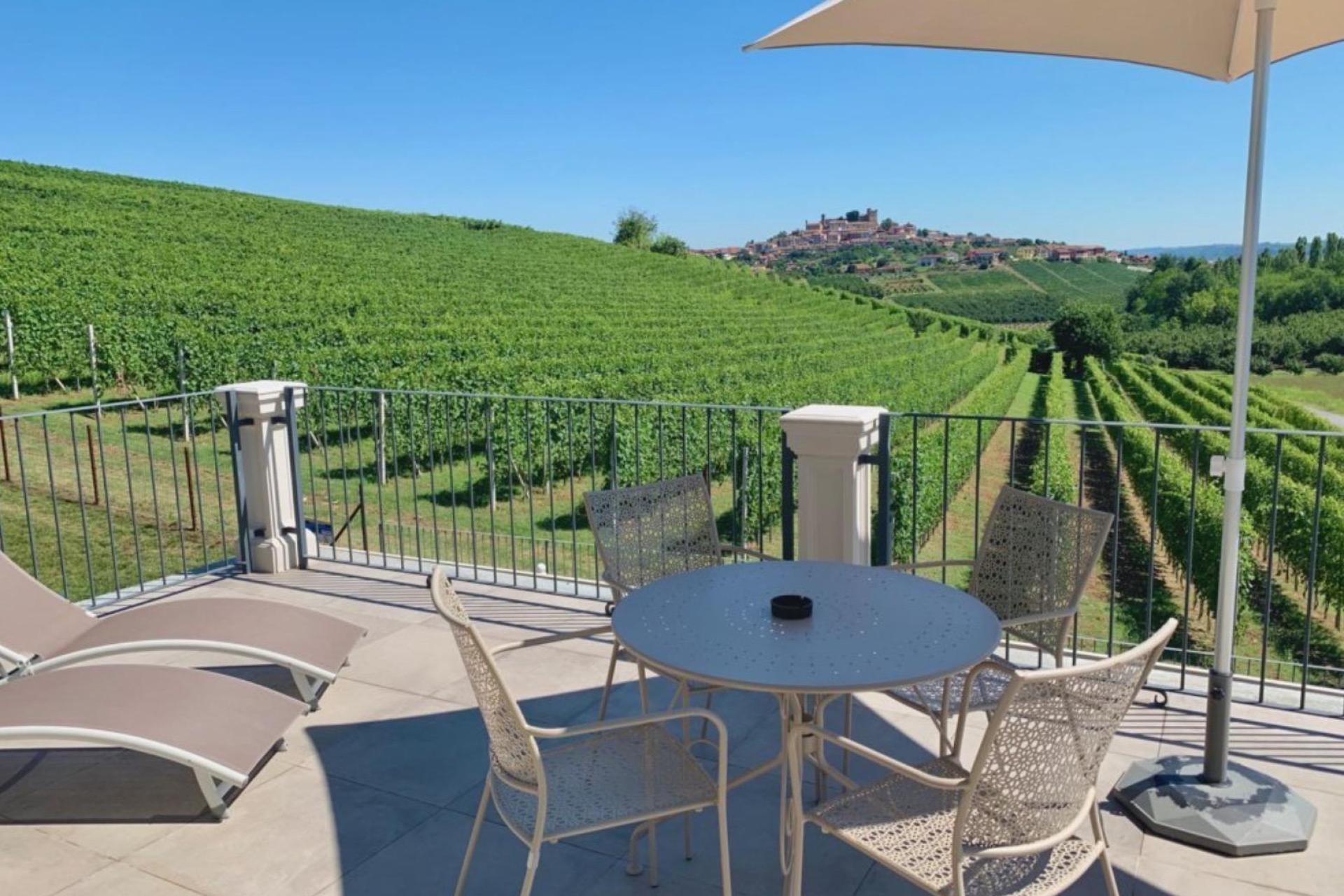 Elegant wine farm in beautiful Piedmont