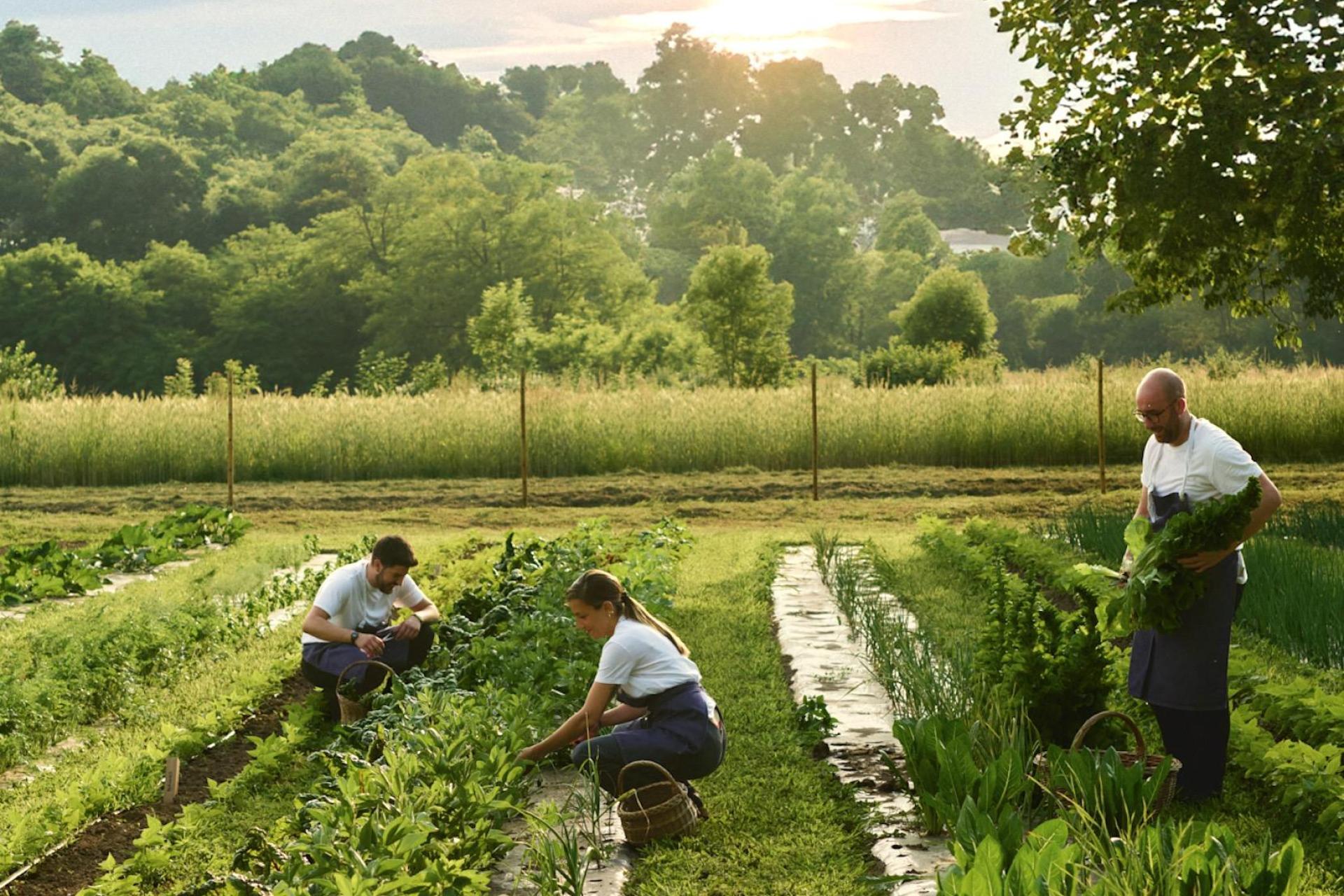 Small boutique hotel in nature near Lake Maggiore