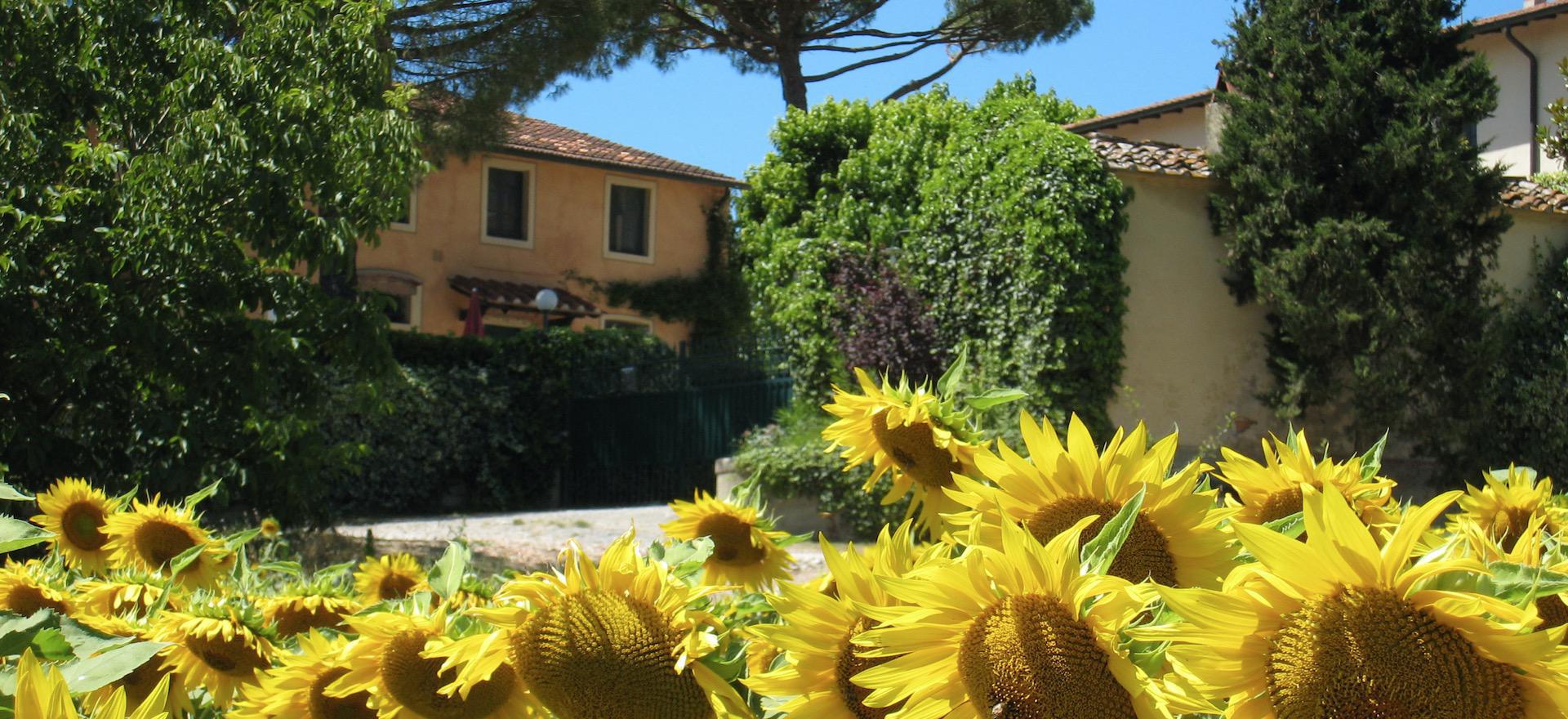 Agriturismo Tuscany Agriturismo for families with large pool and paddling pool