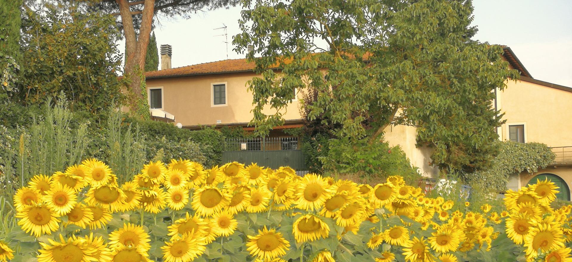 Agriturismo Tuscany Agriturismo for families with large pool and paddling pool