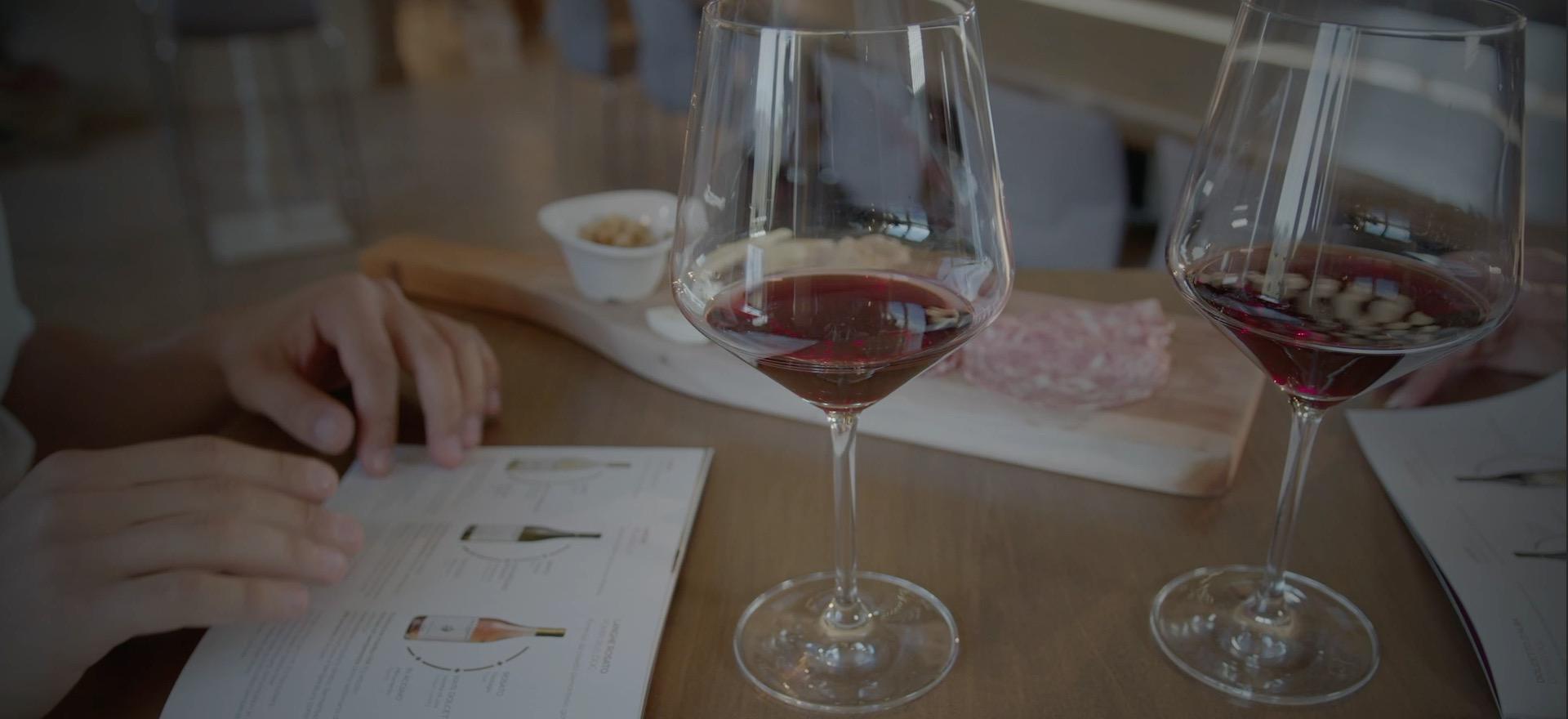 Agriturismo Piedmont Agriturismo Piemont, wine farm with restaurant