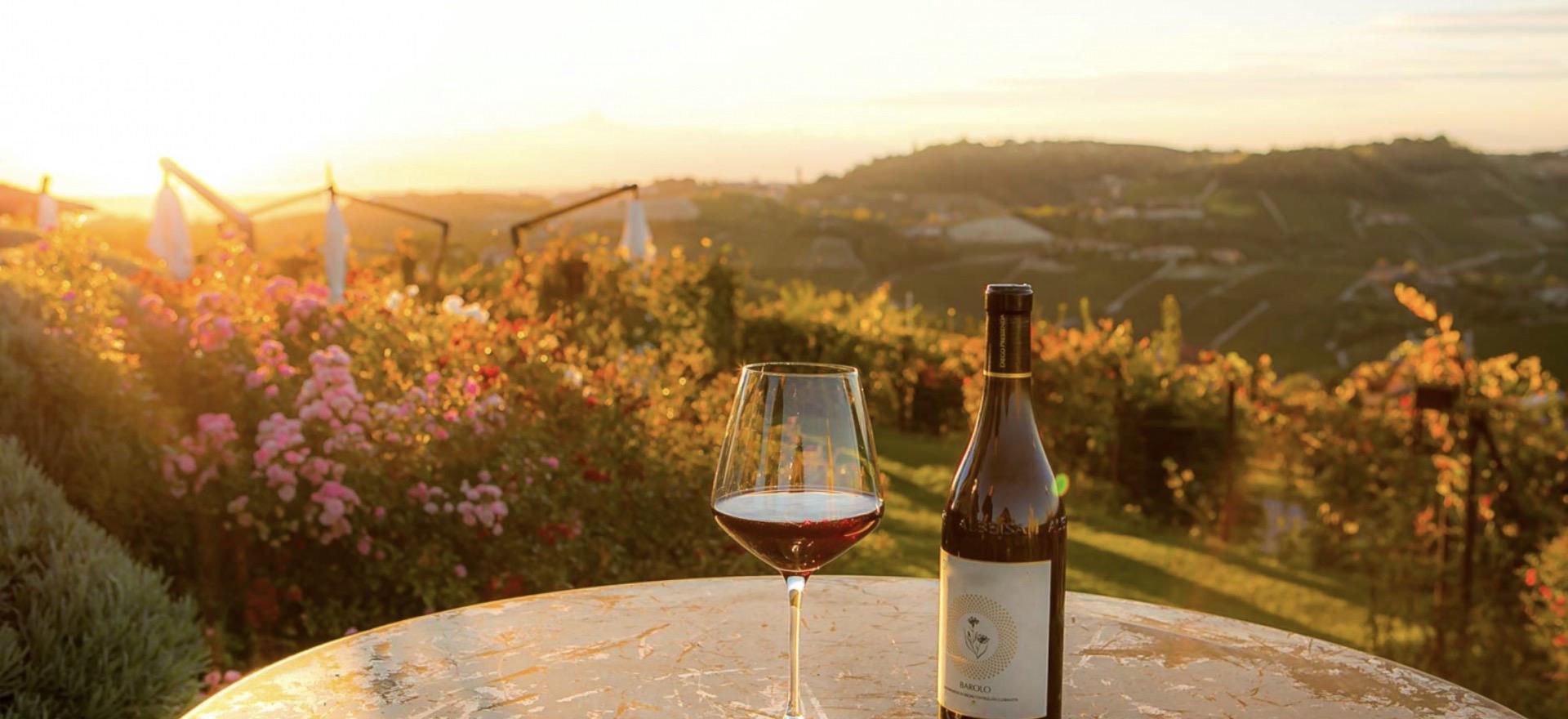 Agriturismo Piedmont Agriturismo Piemont, wine farm with restaurant