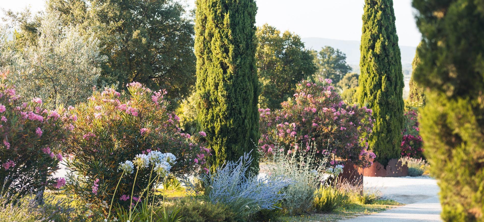 Agriturismo Tuscany Agriturismo Tuscany near the sea perfect for active cyclists