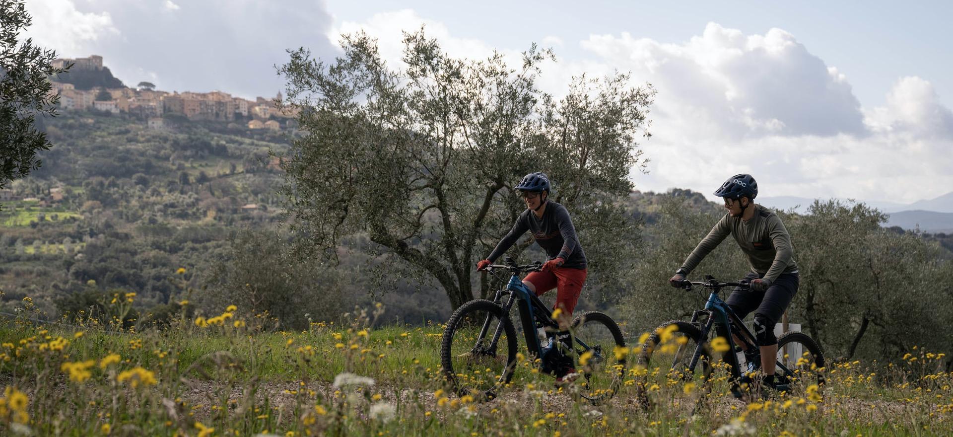 Agriturismo Tuscany Agriturismo Tuscany near the sea perfect for active cyclists