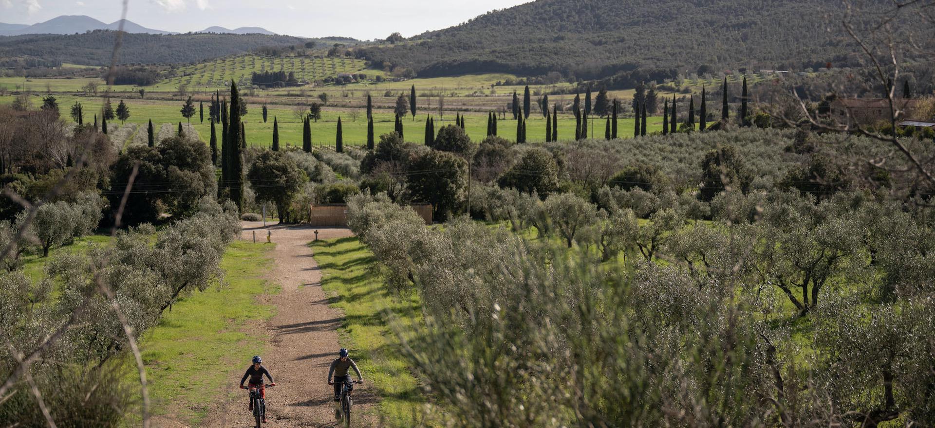 Agriturismo Tuscany Agriturismo Tuscany with 5 pools and the beach 20 minutes away
