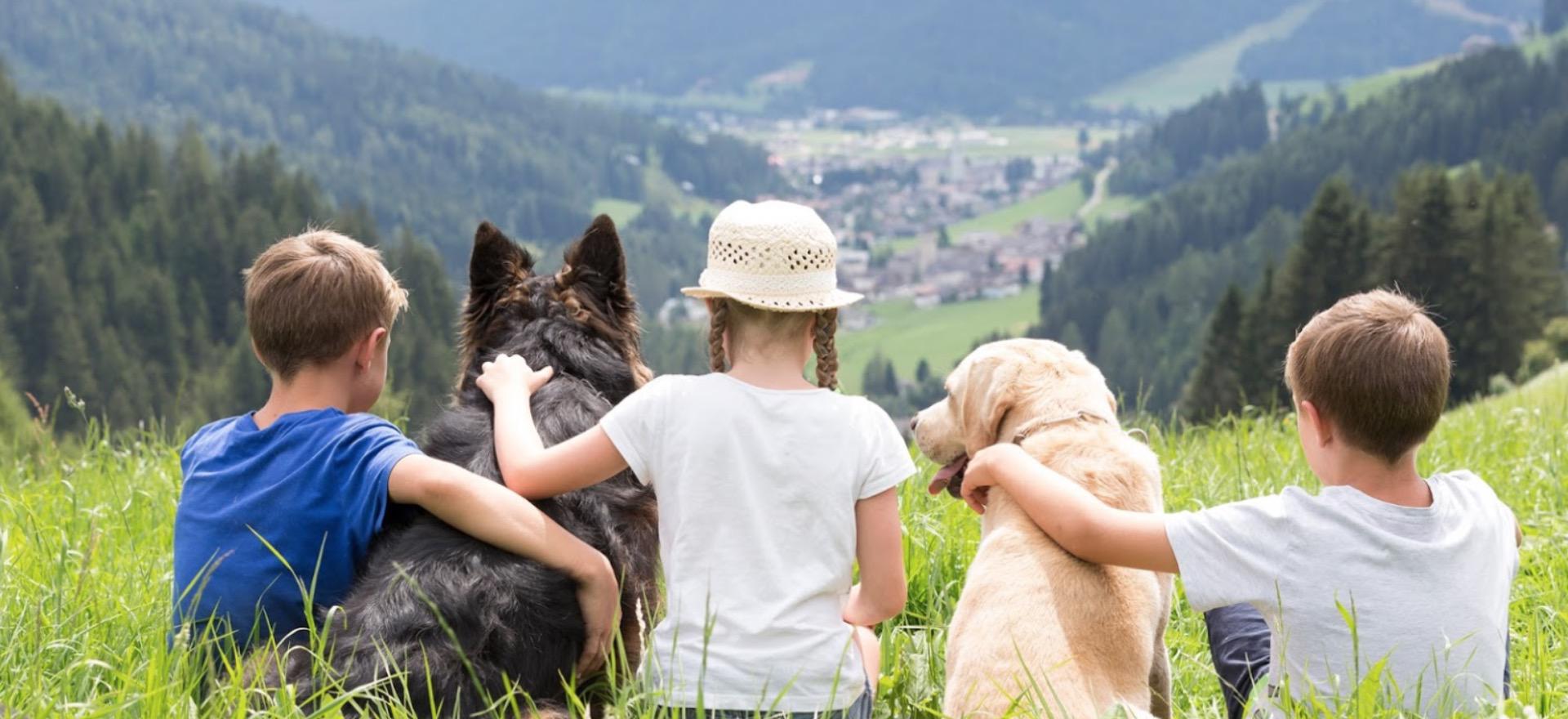 Agriturismo Dolomites Apartments in a friendly farmhouse in the Dolomites