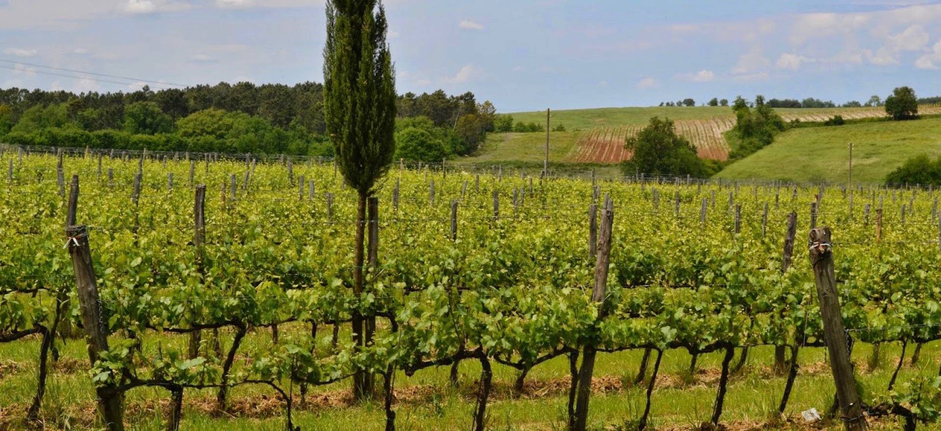 Agriturismo Tuscany Characteristic agriturismo centrally located in Tuscany
