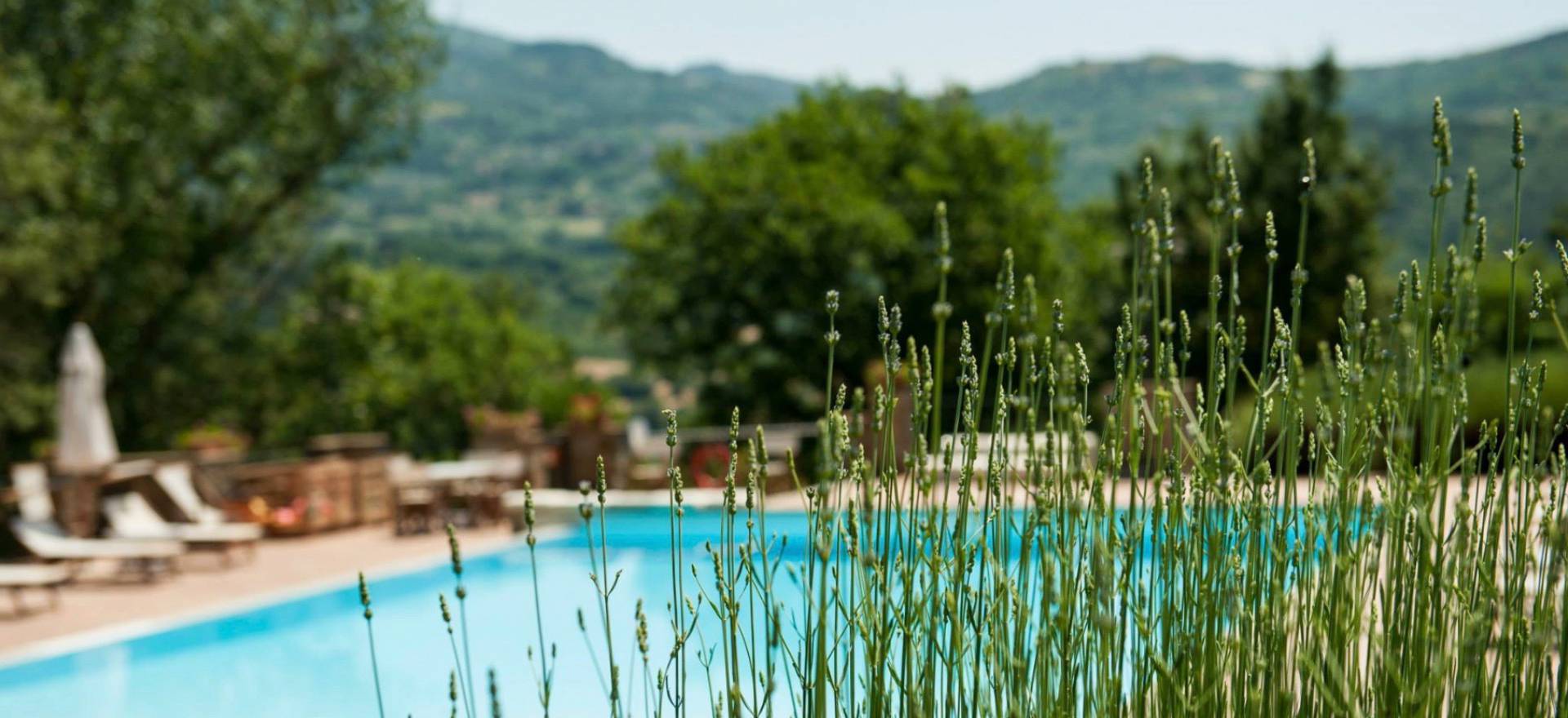Agriturismo Tuscany Child-friendly and cozy agriturismo in Tuscany