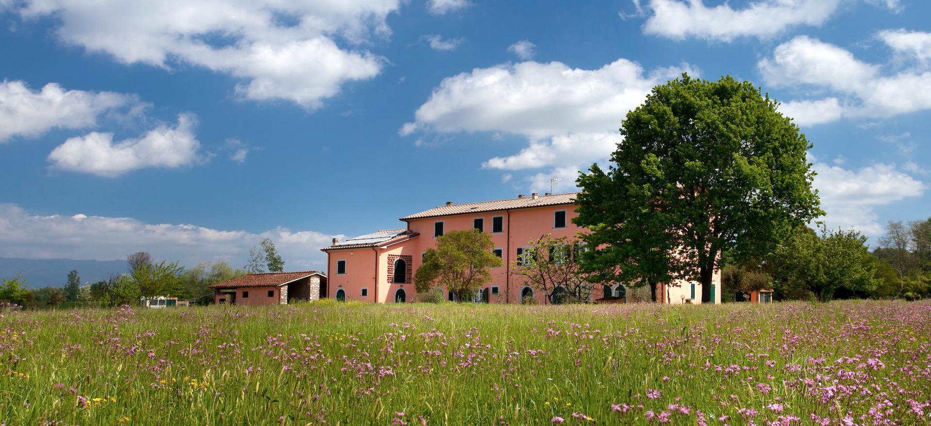 Agriturismo Tuscany Child friendly and cozy agriturismo near Lucca