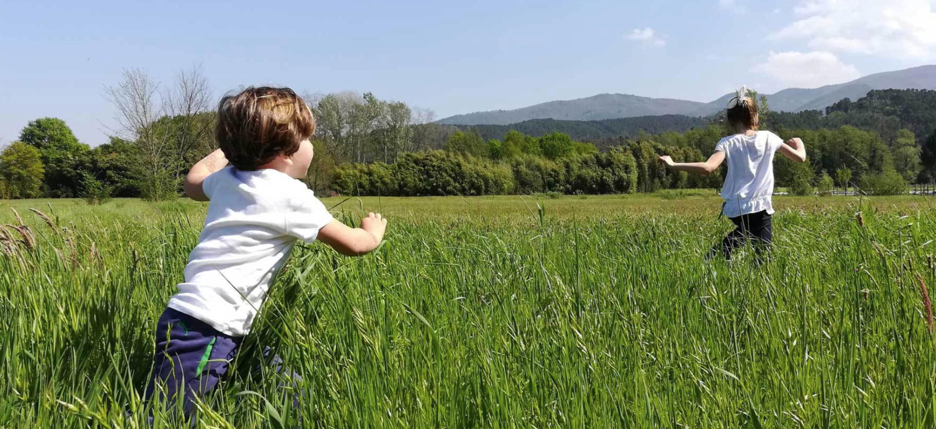 Agriturismo Tuscany Child friendly and cozy agriturismo near Lucca