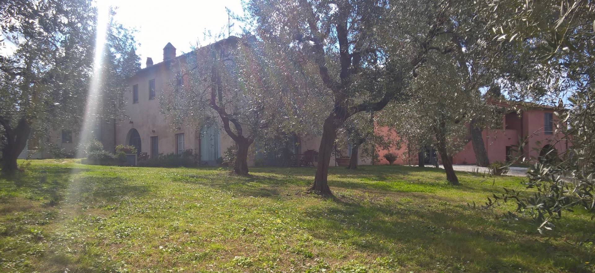 Agriturismo Tuscany Family friendly agriturismo near Lucca, Toscane