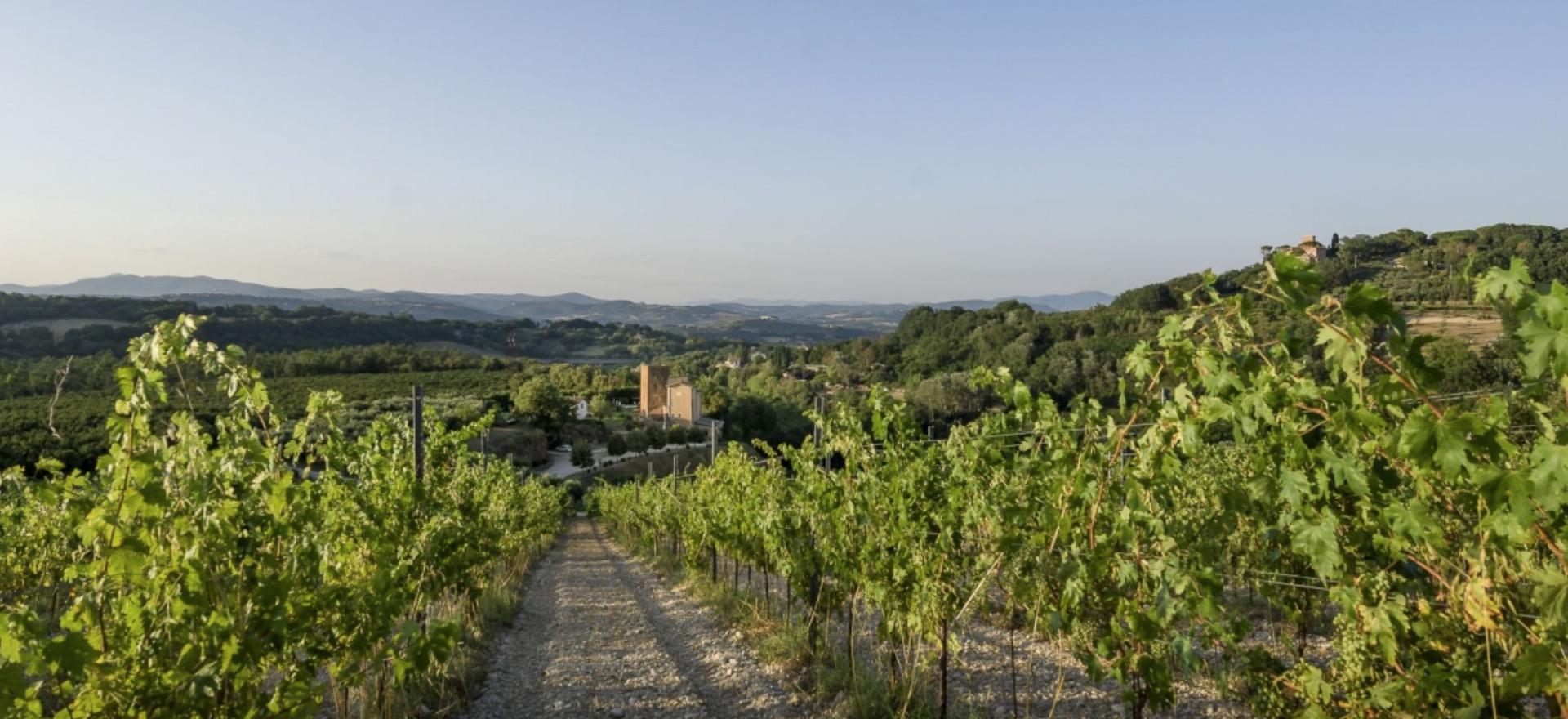 Agriturismo Rome griturismo near Rome in the sunny region of Lazio