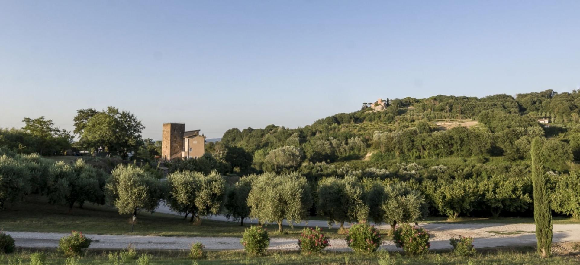 Agriturismo Rome griturismo near Rome in the sunny region of Lazio