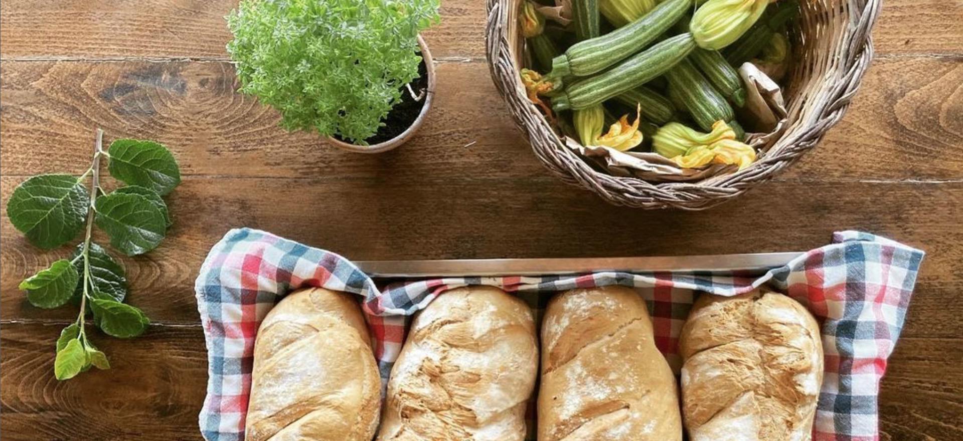 Agriturismo Umbria Hospitable agriturismo in Umbria with restaurant