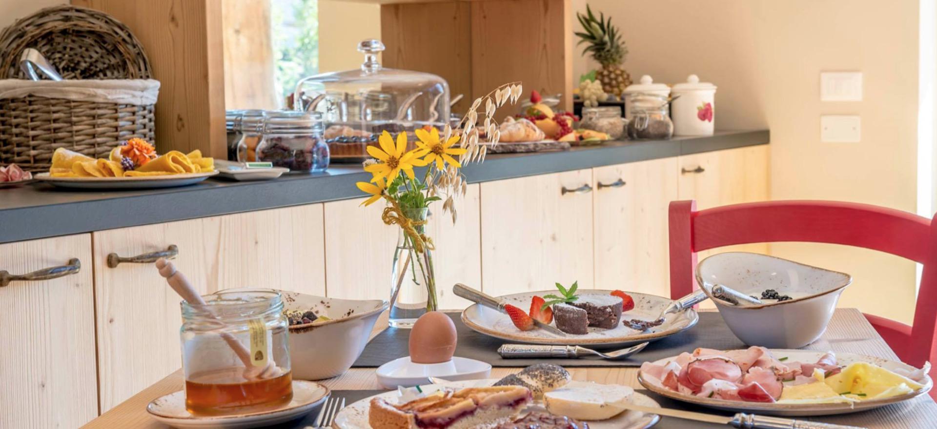 Agriturismo Dolomites Organic apple-agriturismo in the lake valley of Trentino