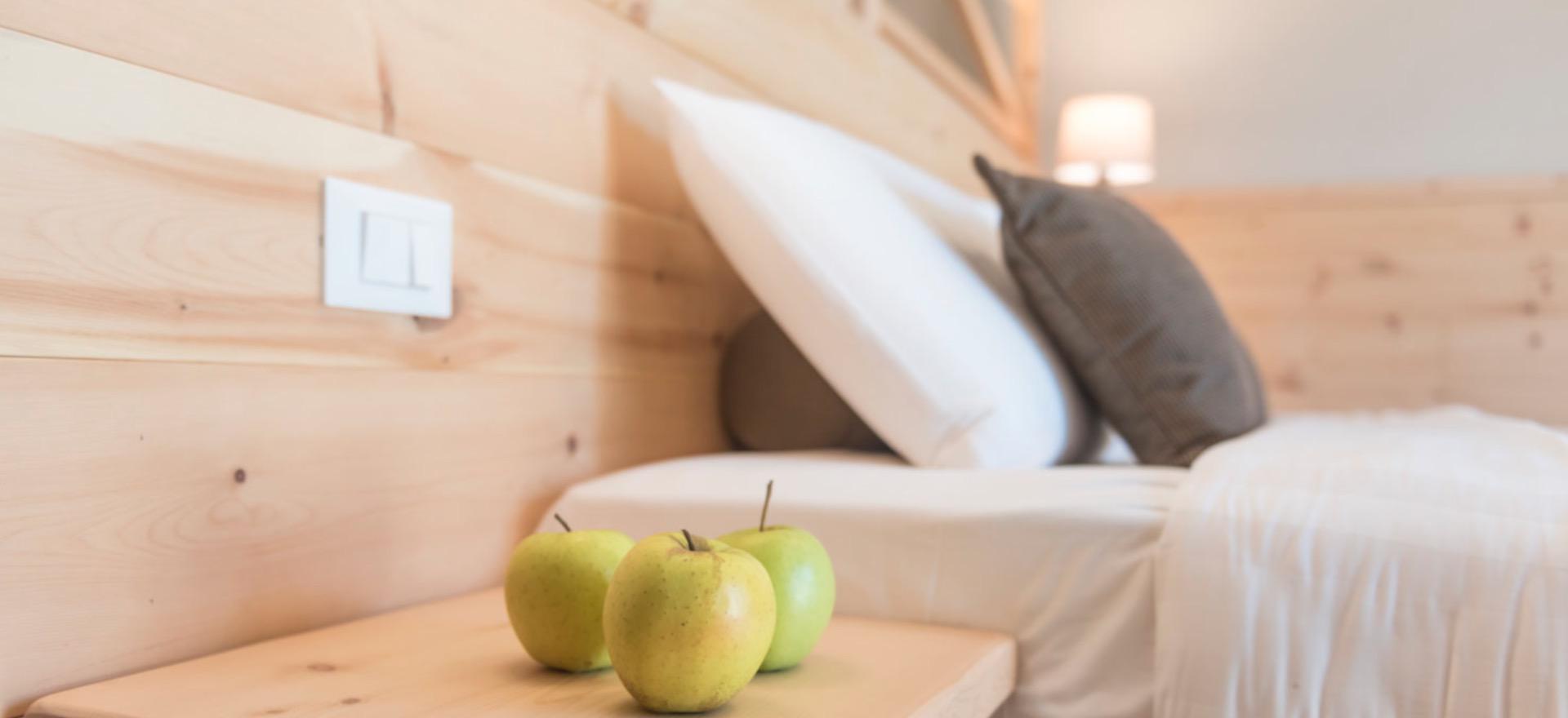 Agriturismo Dolomites Organic apple-agriturismo in the lake valley of Trentino