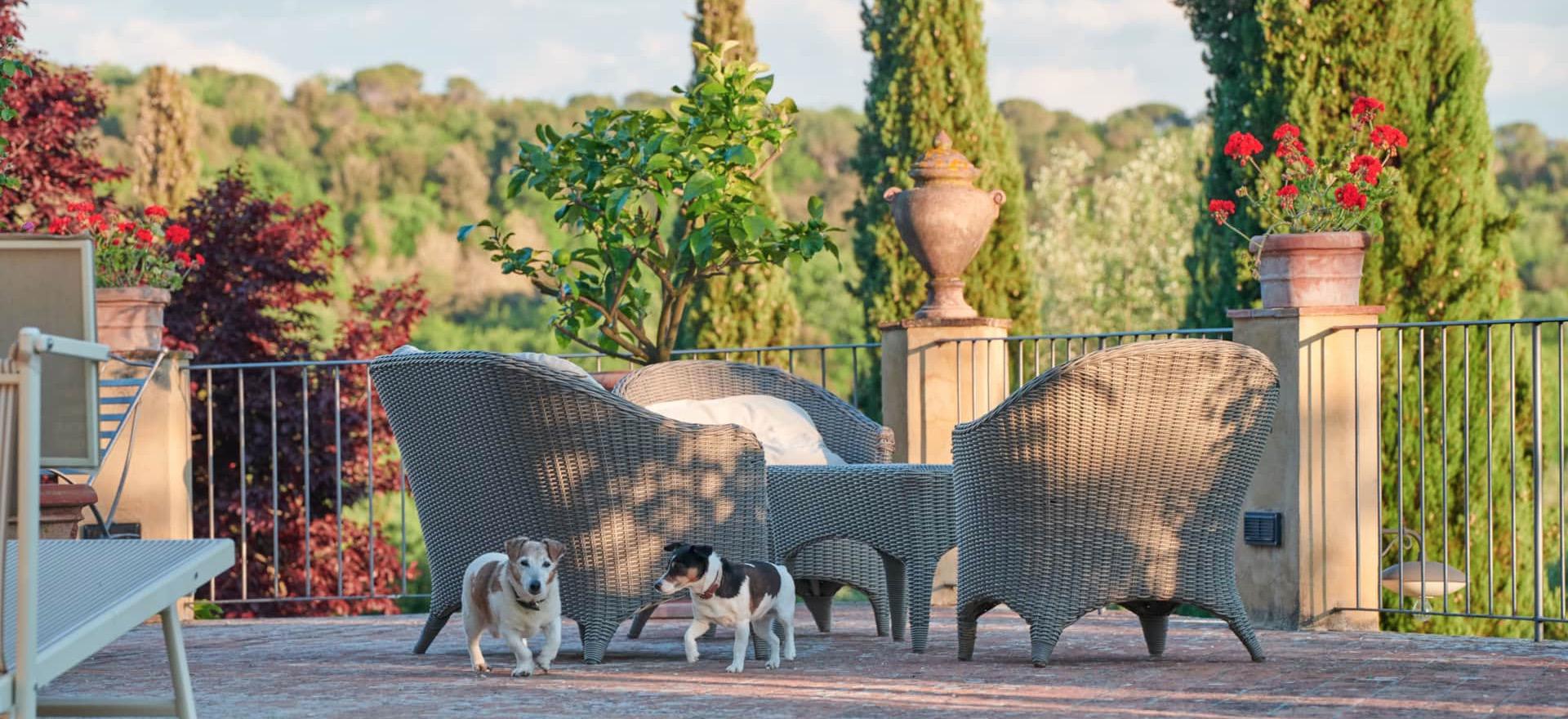 Agriturismo Tuscany Stylish and authentic agriturismo in the Chianti region