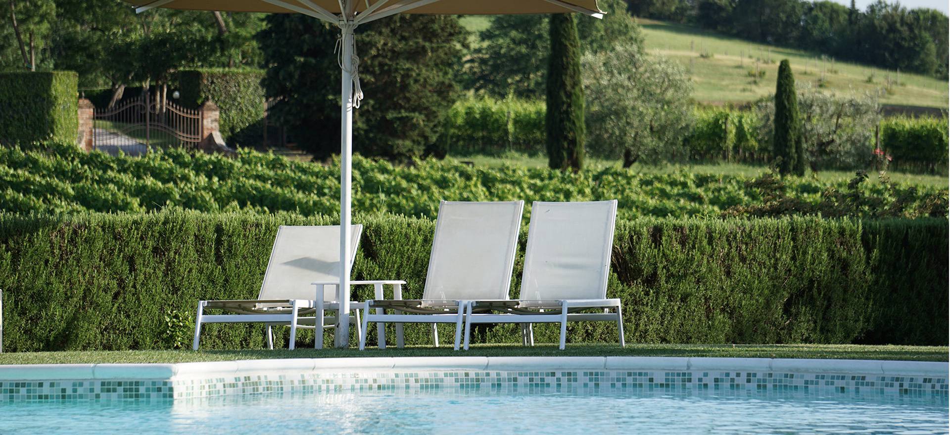 Agriturismo Tuscany Winery and luxury agriturismo near Pisa