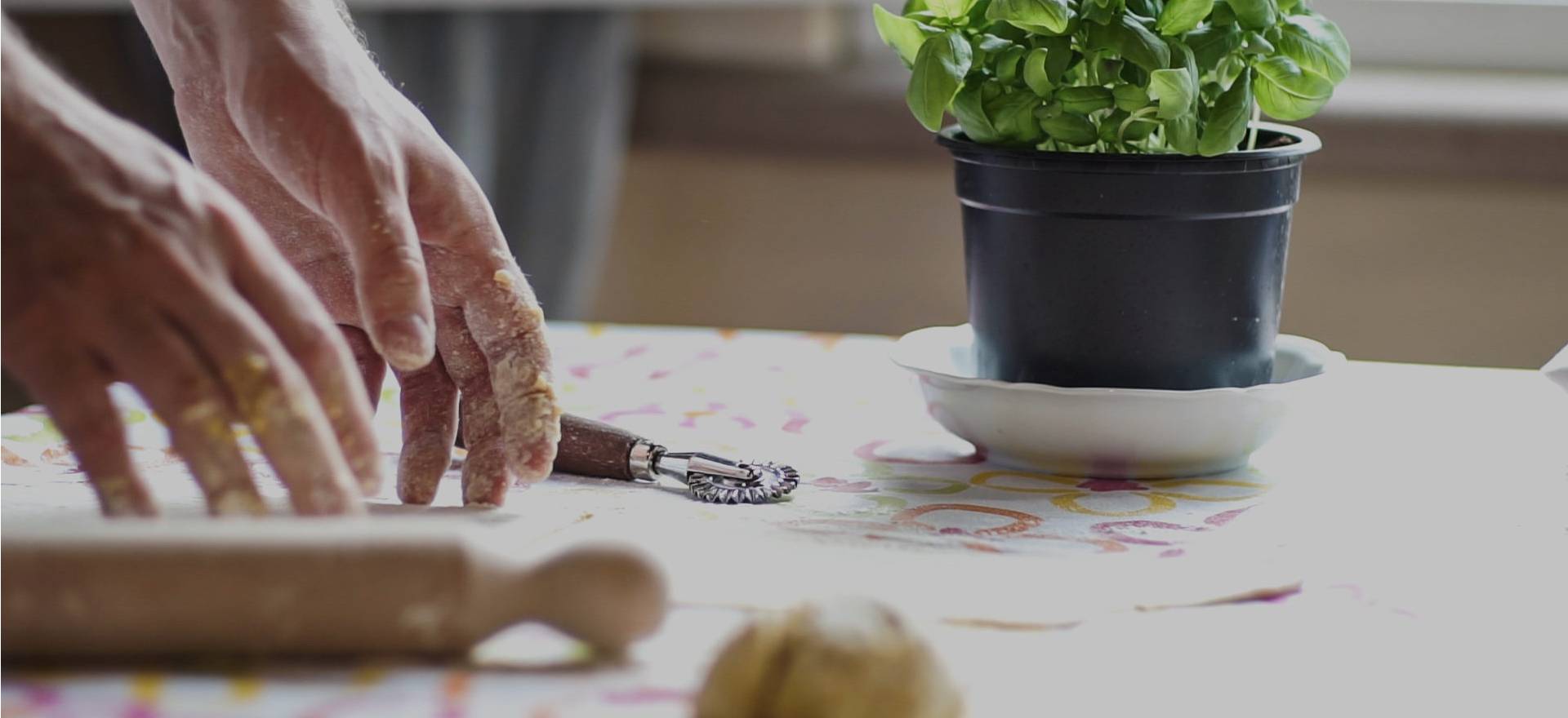 Agriturismo Tuscany Winery and luxury agriturismo near Pisa