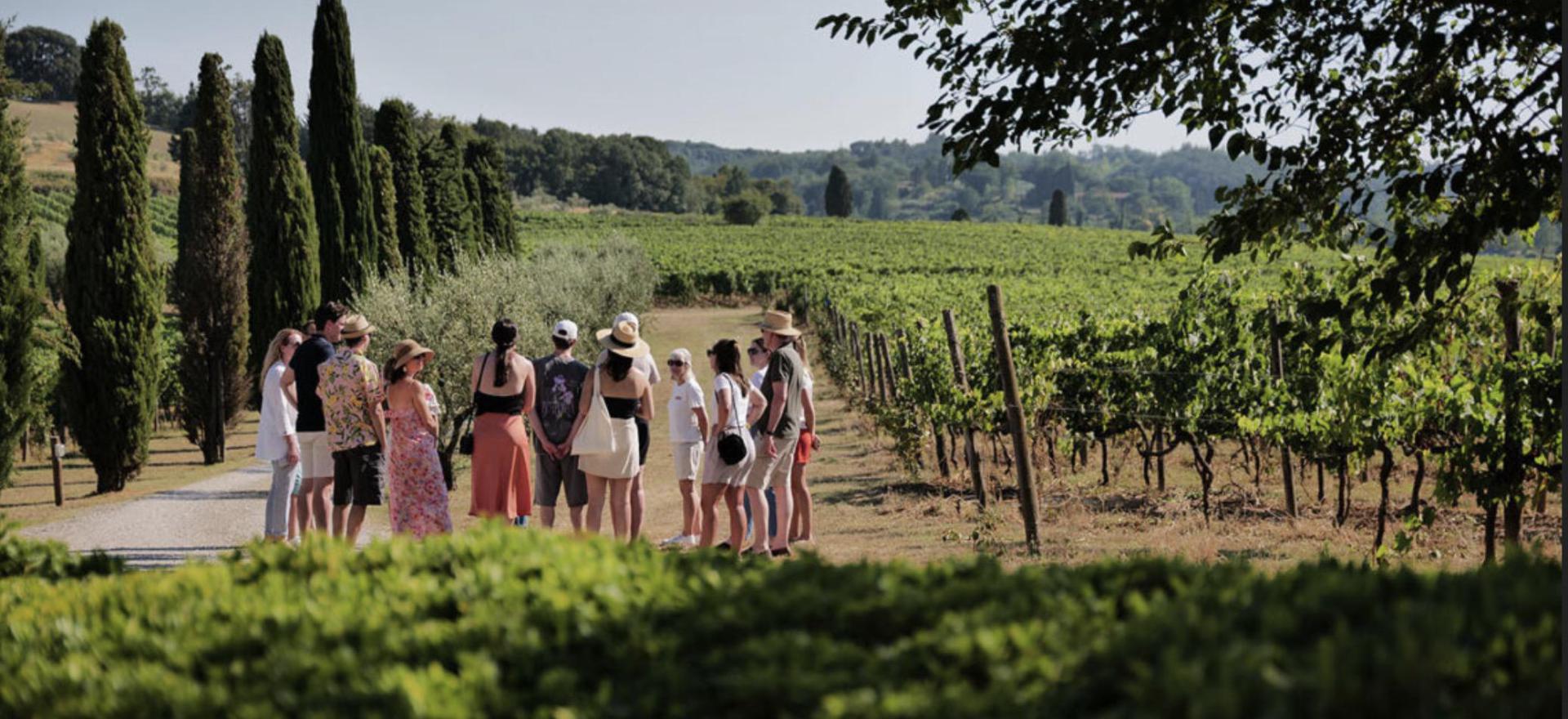 Agriturismo Tuscany Winery and luxury agriturismo near Pisa